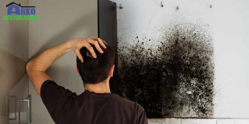 mold cleaning solutions
