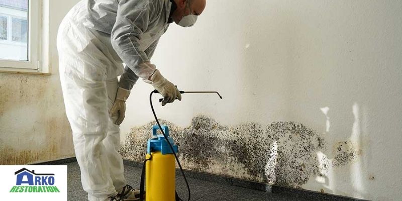 commercial mold removal services in Minnesota