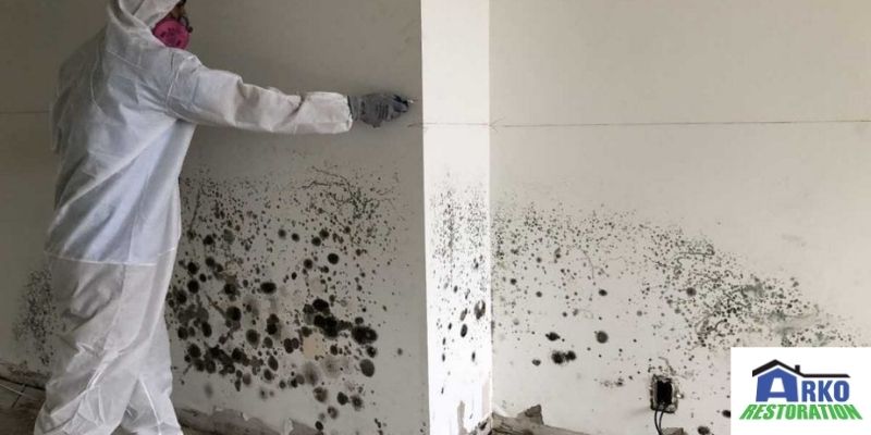 Care of mold removal