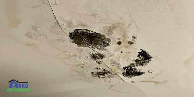 Mold In Ceiling Opening 
