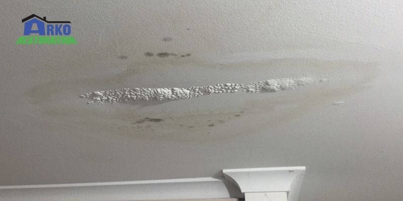 Roof leaks Due To Mold 
