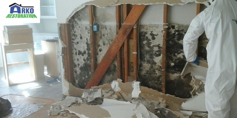 Prevent house damage from mold .