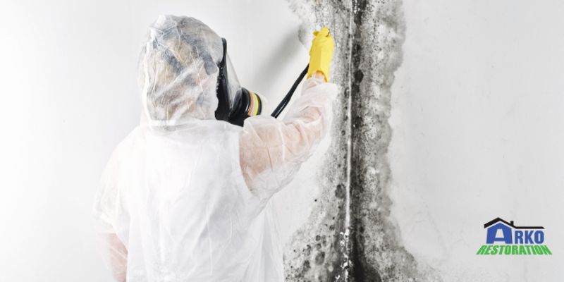 Mold removing 