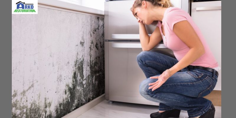 Effects of Mold