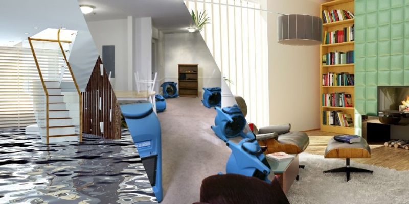 hire a professional water damage restoration company