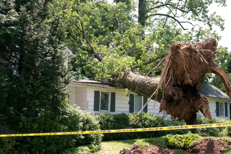 Minneapolis MN Storm Damage Restoration