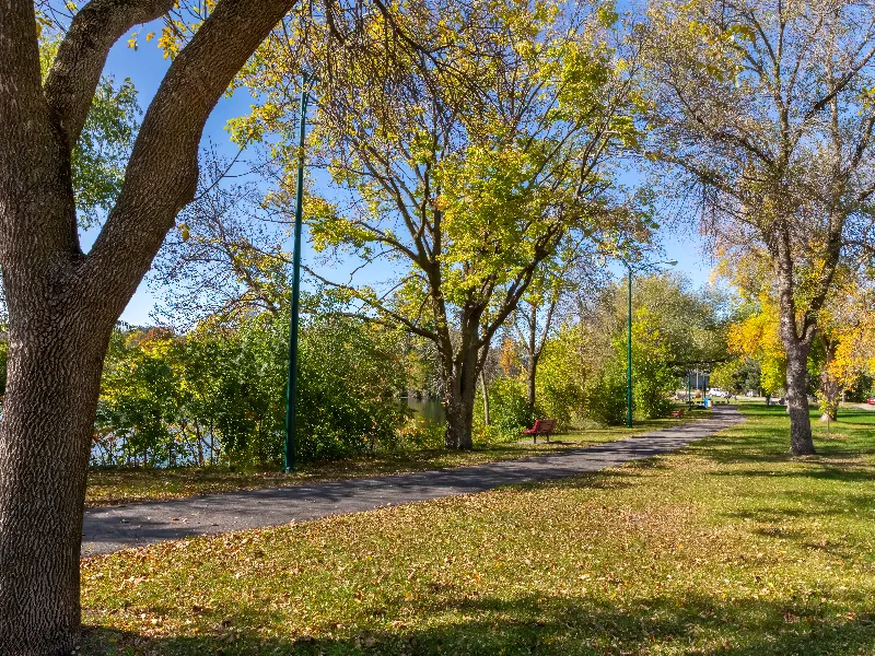 Tree-lined park path with benches and green grass under a clear blue sky.