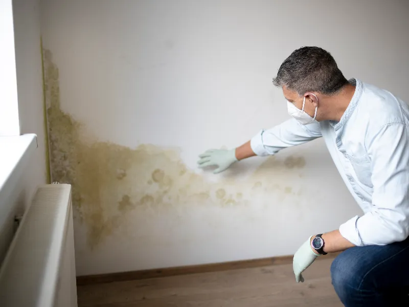 Man wearing gloves and mask inspecting mold damage on an interior wall near a window.