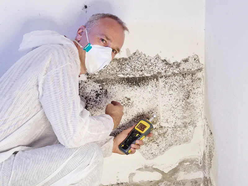 Man in protective suit and mask inspecting mold damage on wall with a moisture meter.